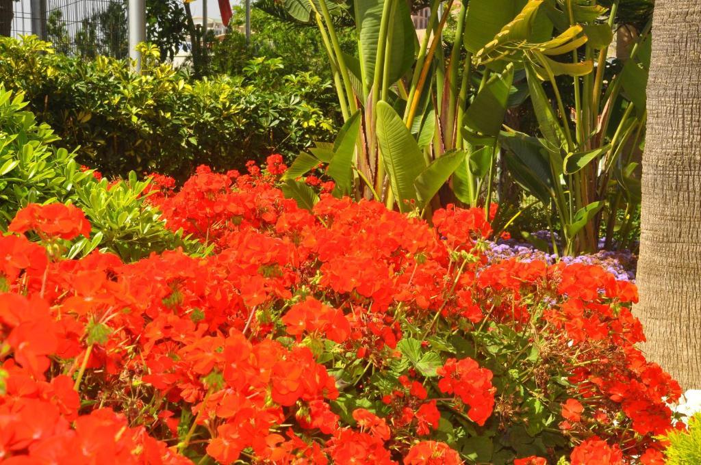 Mirador Resort & Spa Konaklı エクステリア 写真