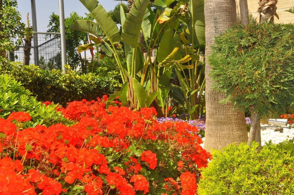 Mirador Resort & Spa Konaklı エクステリア 写真